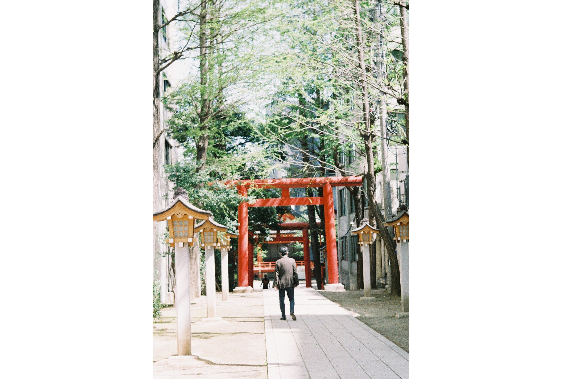 Leica 72 wetzlarで鳥居を撮影した写真