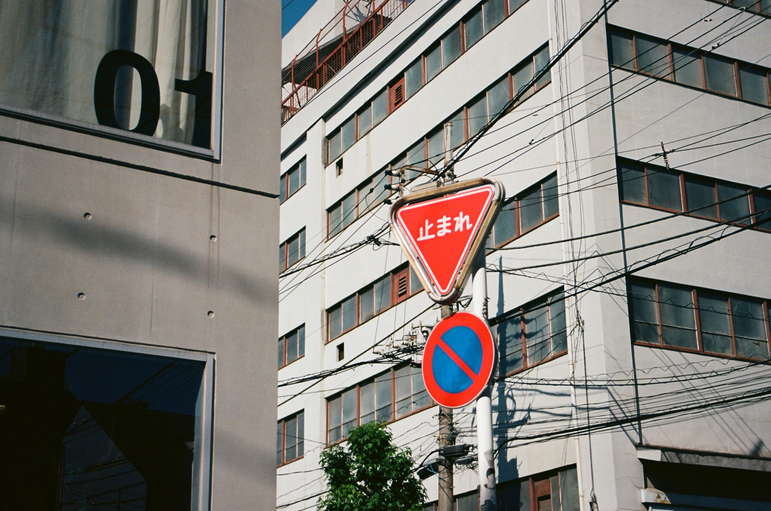 Kodak Ekter 100 作例