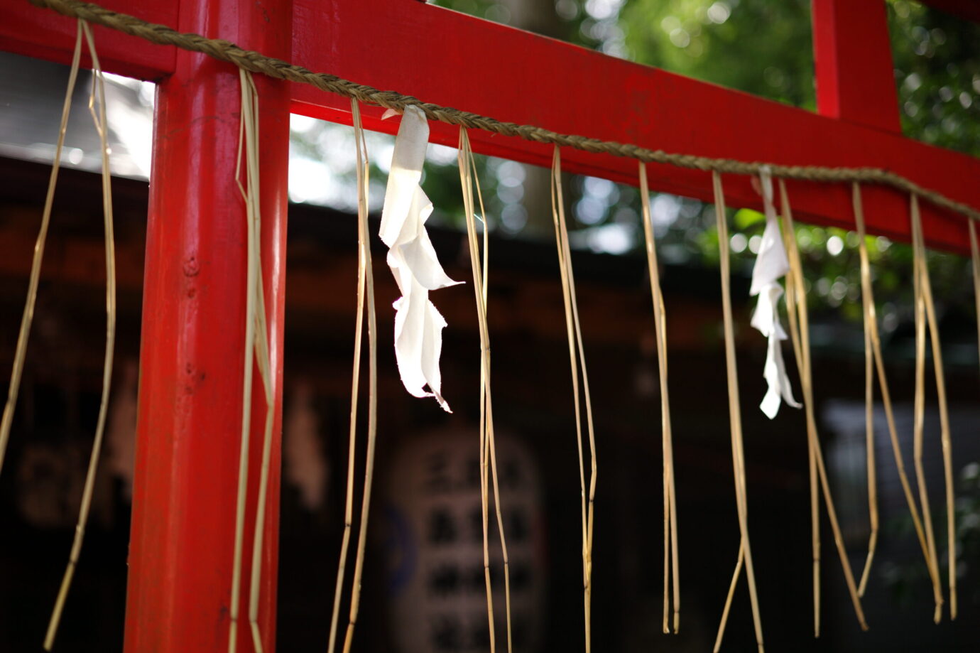 Leica M-E 作例