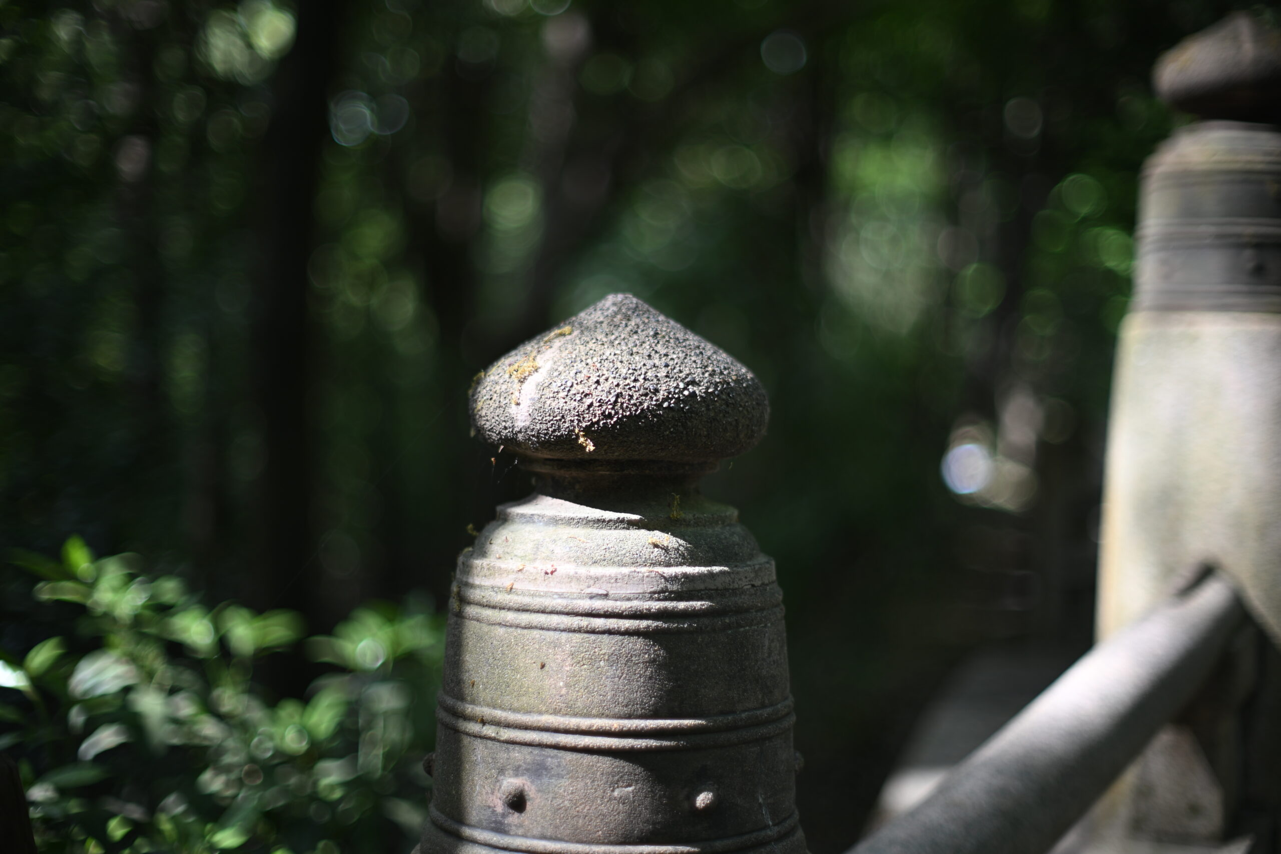 nikonzf 作例
