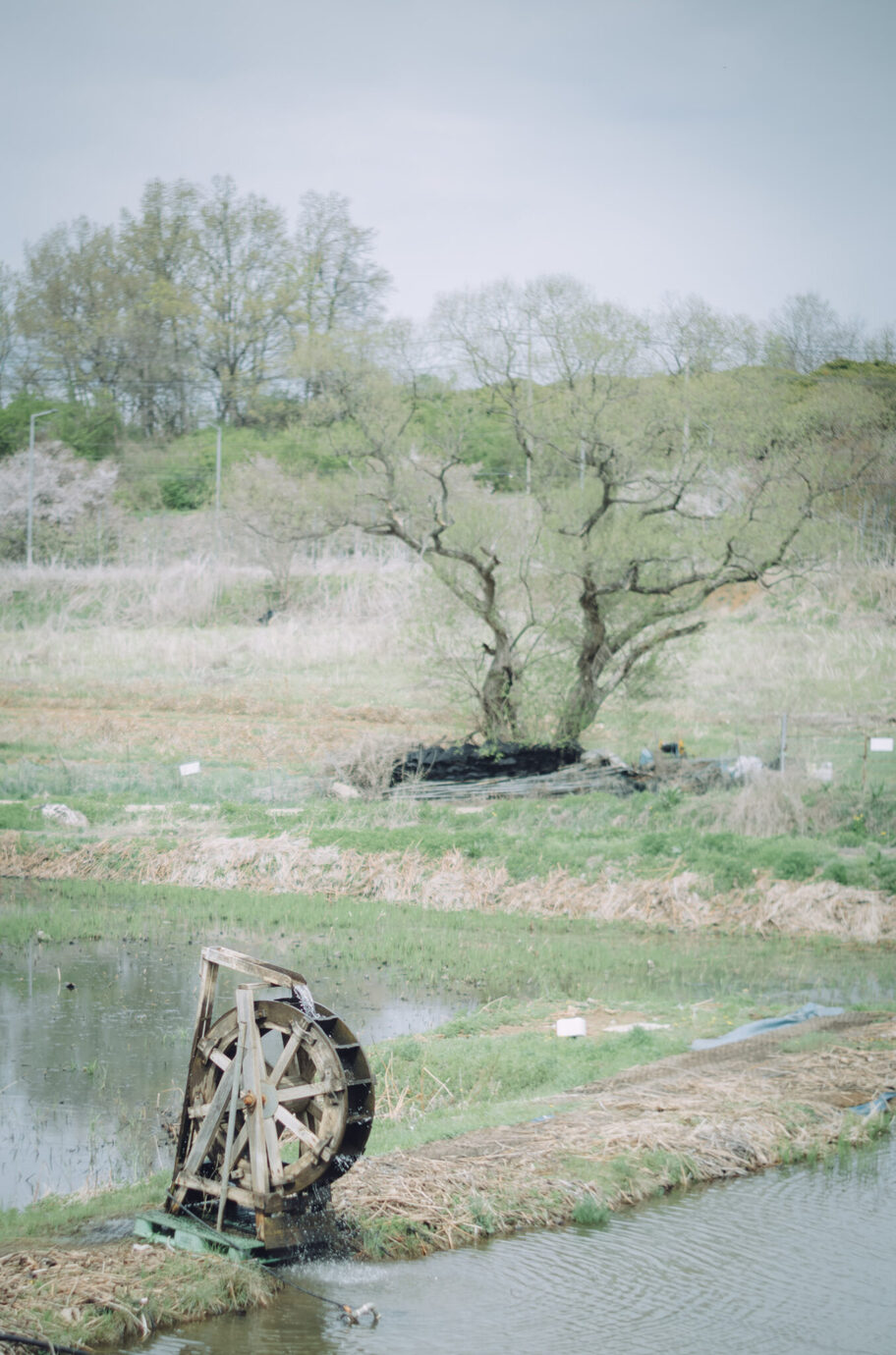 ライカM10-Pとアポ・ズミクロンM f2/50mmで韓国のDMZの風景を撮影した写真