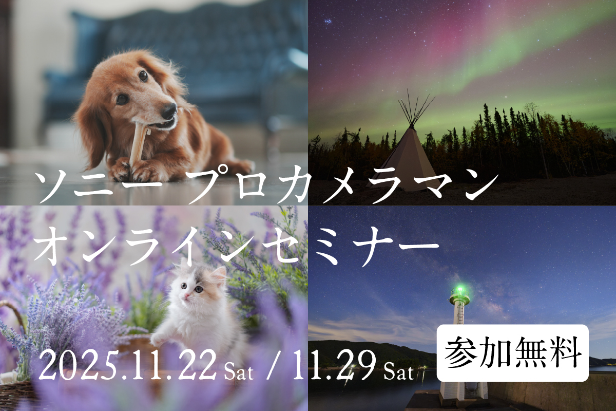 11月ソニーセミナー